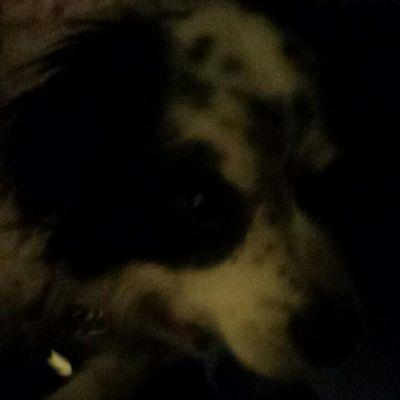 pbgonzalez99's profile picture. 