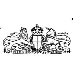 DailyMail_Not's profile picture. Head lines that didn't quite make it.