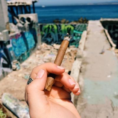 I post what you smoke. Following everyone back. Turn on Notifications.