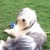 Norb.. Pet.. (@norbert_peter) Twitter profile photo Norb.. Pet.. (@norbert_peter) Twitter profile photo