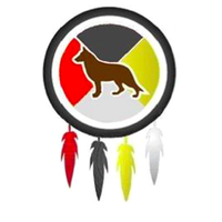 Nagi Foundation (@nagifound) 's Twitter Profile