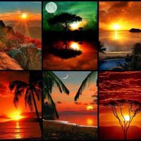 Loretta Koerner (@lorettakoerner) 's Twitter Profile