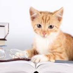 arewethereyet04's profile picture. 