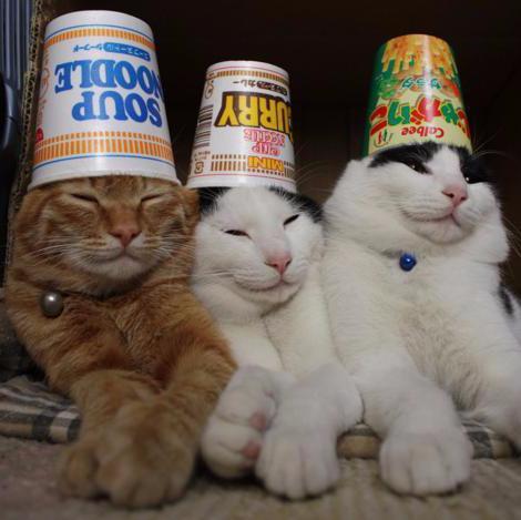 owen_hughes1138's profile picture. 