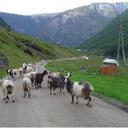 Simon Kang - @simonABN - Twitter