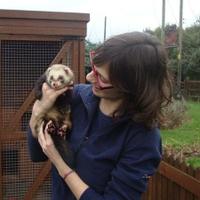 Mafalda Costa 🦔❄️🧬 (@mafalda_b_costa) 's Twitter Profile Photo Mafalda Costa 🦔❄️🧬 (@mafalda_b_costa) 's Twitter Profile Photo