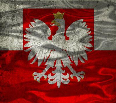 marcinfm's profile picture. 