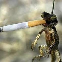 Autoguide2's profile picture. 