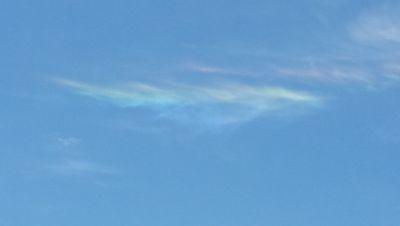 JNCExcitation's profile picture. 