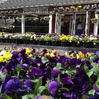 Wightman Farms (@wightmansfarms) 's Twitter Profile