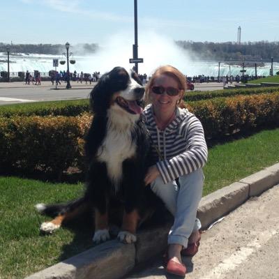 careybark's profile picture. 