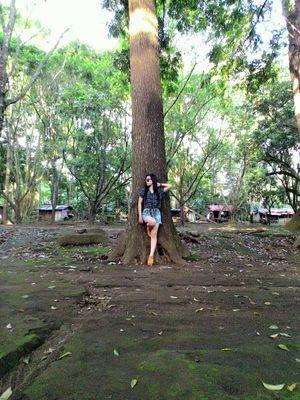 HimaToying's profile picture. Kangen mata itu,