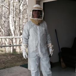 First year beekeeper