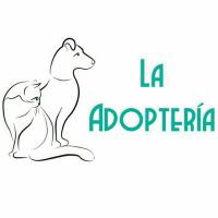 La Adoptería México(@laadopteria) 's Twitter Profile Photo