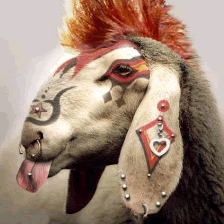 tetengounachiva's profile picture. 