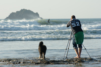 SwellPhoto's profile picture. Creative photography from wildlife to travel.