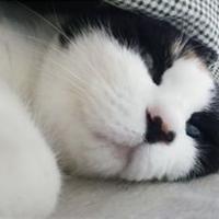 なんば (@noaxel55) 's Twitter Profile Photo