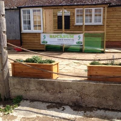 bucksumsalads's profile picture. Growers & suppliers to the public & catering trade of fresh seasonal veg, herbs & fruit. Farm shop just outside Long Crendon, Bucks