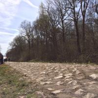 Richard Bowyer (@rpbowyer) 's Twitter Profile