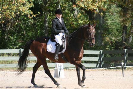 JetTucker's profile picture. CPA, Certified Shift Trainer, Tai chi instructor, Qualitologist