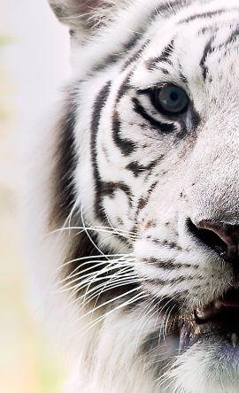 hirose_avenue's profile picture. 疲れたので一時休止