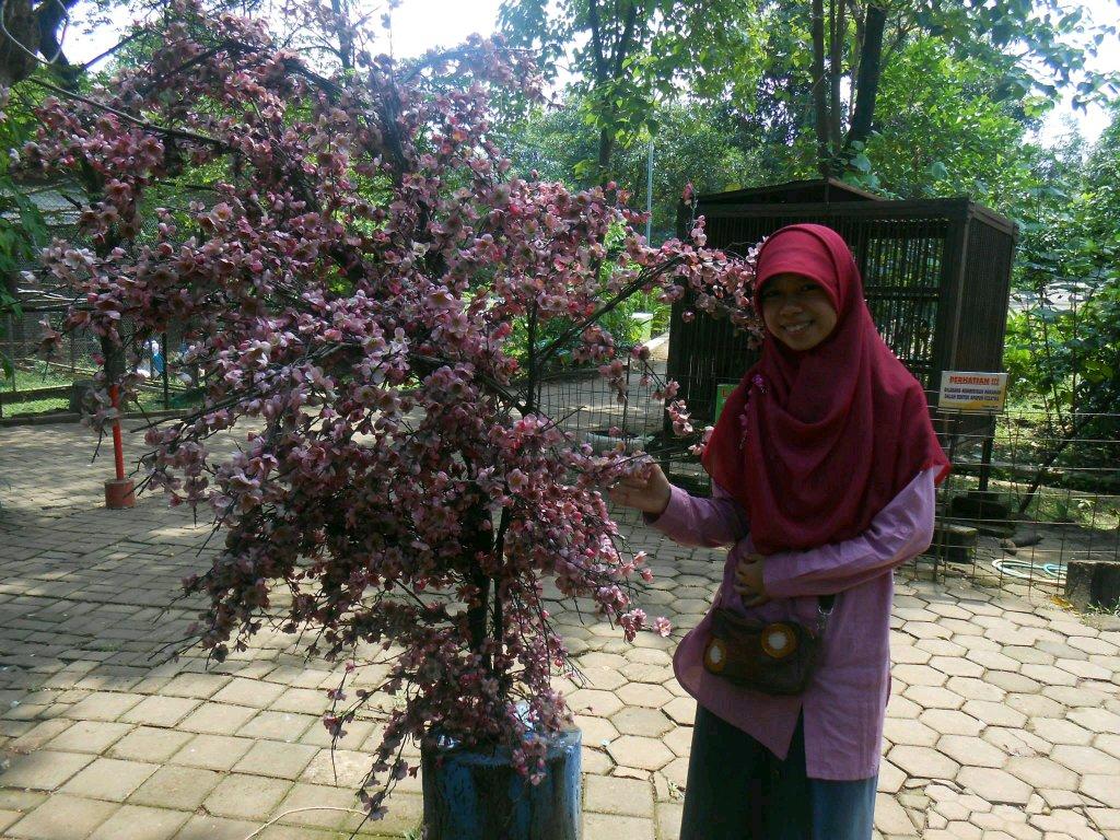 Good Luck My Way..