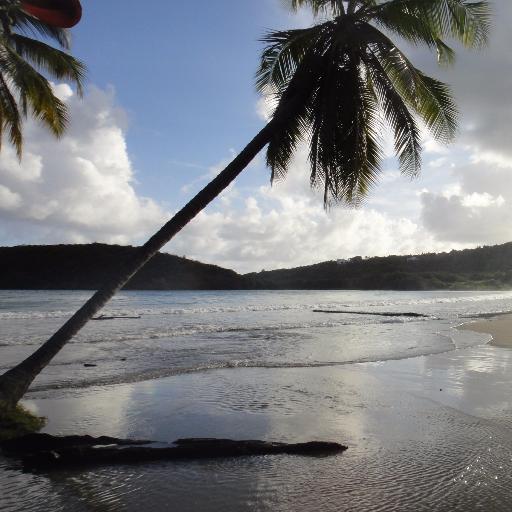 tartocitrus's profile picture. 