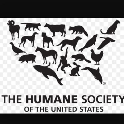 HelptoHelpthem's profile picture. Animals everyday and treated inhumanly to entertain US humans. together we can end the cruel treatment that they may go through.don't give them the $ they want!