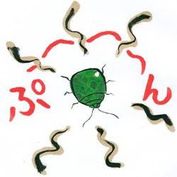 kamemusiGTA5's profile picture. 人間の年齢にして15歳。あなたのマイクにひとっ飛び！主にGTA5中心。パーティーでプンプン匂いがしたら私です。よろしくプンプン( *｀ω´)天敵kabutomusitaberu。サブ垢プンプン丸( *｀ω´)本垢の名前の物体と同じ色です。