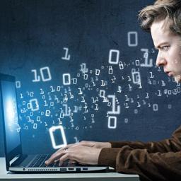 NetProgramming's profile picture. 