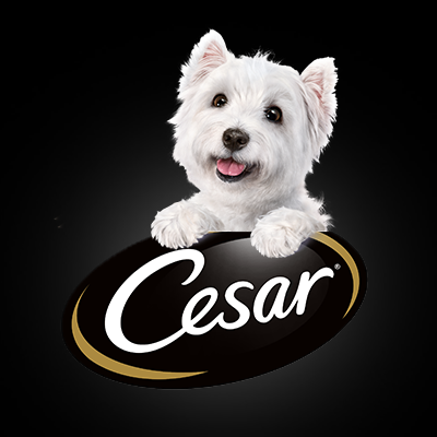 cesar dog food petco