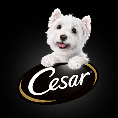 cesar dog food commercial song