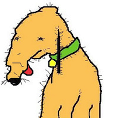 AsTeNiTos's profile picture. mlg