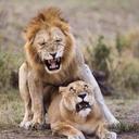 Mi padre (@05ka) Twitter