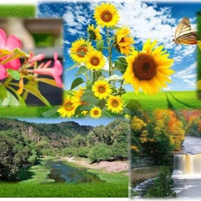 viviralnatural's profile picture. Vive con intensa felicidad, Disfruta la naturaleza de la vida;esa es gratis.. Regálate un bienestar saludable y Aférrate a una  tranquilidad pura y fresca.