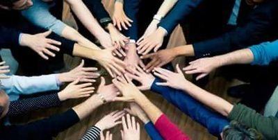 alonso_529's profile picture. 