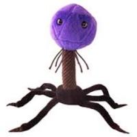 Howie Weiss (@hweiss3) 's Twitter Profile Photo