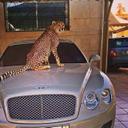 مصرفي محنك (@0024891) Twitter