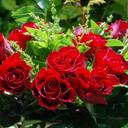 Bidhan Sarkar (@058ca3dee7ea4a8) Twitter