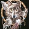 tim_timcrews69's profile picture. 