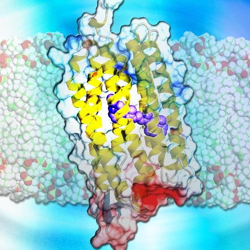 Professor at UTokyo. (postdoc @Stanford) / b.1986 /  structural biology, protein engineering, rhodopsin, GPCR https://t.co/6mkl7Vi4qN