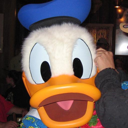 I'm a duck. I like to hang out with Mickey and Pluto at WDW. I love to swim.  I'm against hunting. I strongly believe that Pluto is a planet. And I don't tweet.