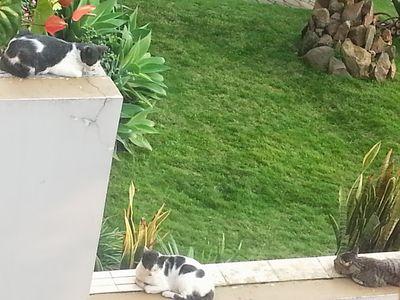 kangpras1's profile picture. 