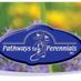 PathwaysToPerennials (@angiepathways) Twitter profile photo PathwaysToPerennials (@angiepathways) Twitter profile photo