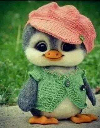 MrrGosshi's profile picture. 