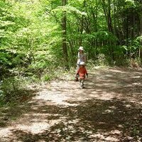 sankichi (@sankichijp) Twitter profile photo