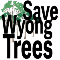 SaveWyongTrees's profile picture. 