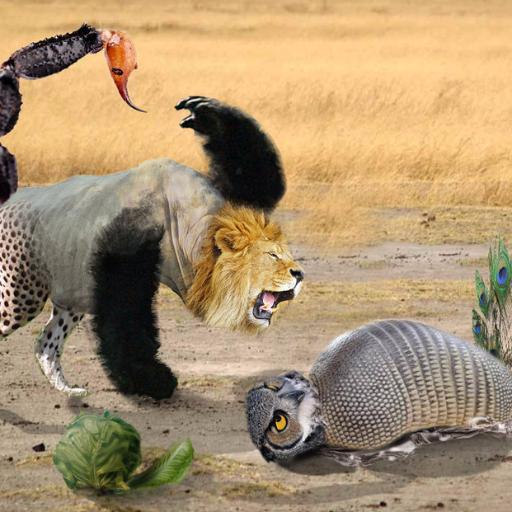 ModernEducation's profile picture. 