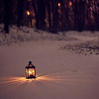 SaudiFahd's profile picture. 