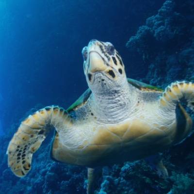 hegen99's profile picture. 